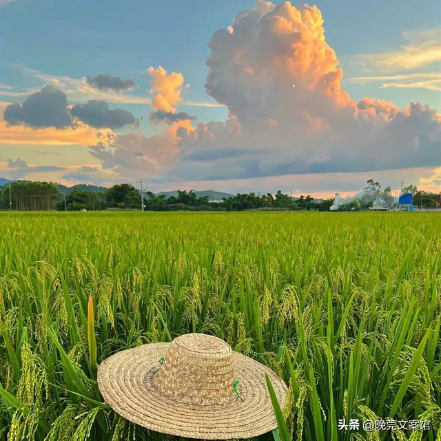 简单的一句话发朋友圈，分享生活点滴？