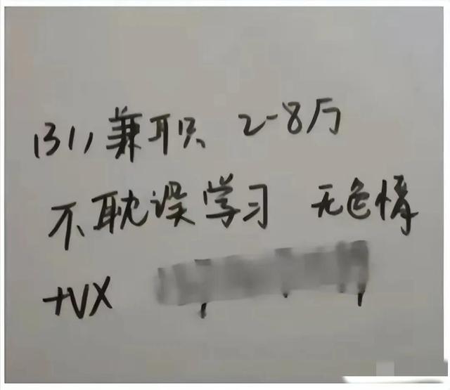 女大学生的秘密兼职，校园女生兼职？