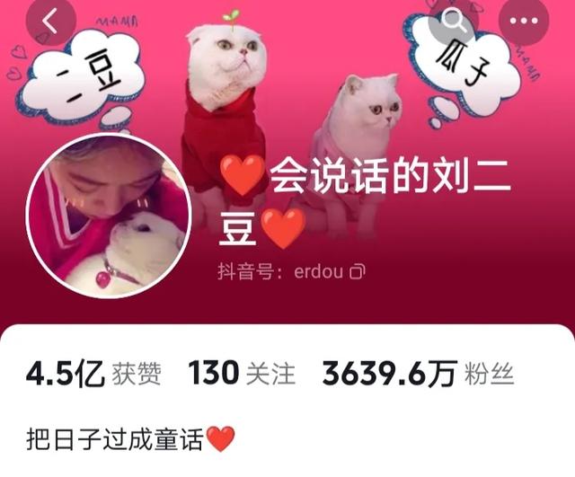 抖音粉丝最多的人，抖音粉丝最多的人排名第一是谁？