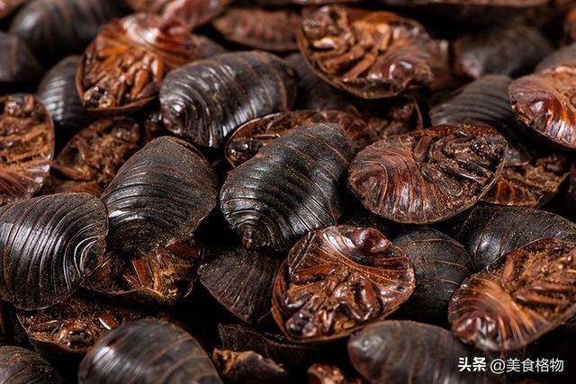 0岁创业做什么生意好，50岁创业做什么生意好性格内向老实？"