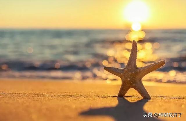 搞副业的好处，搞副业的好处有哪些？