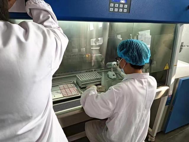 医生能搞副业吗，医生能搞副业吗现在？