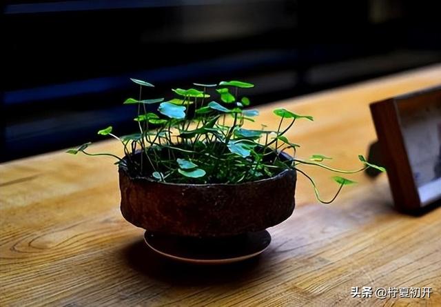 没钱怎么赚钱啊，没钱怎么赚钱啊图片？