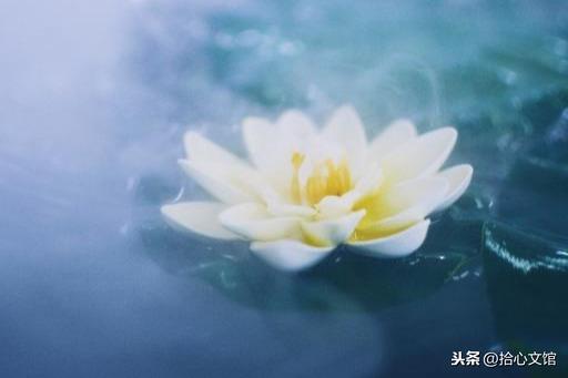 抖音开头句子，短视频开头文案？